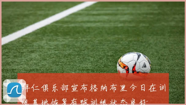 拜仁俱乐部宣布格纳布里今日在训练基地恢复有球训练状态良好