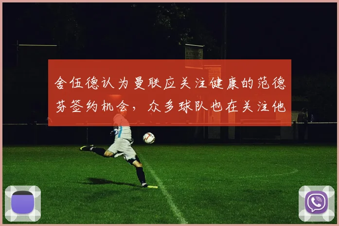 舍伍德认为曼联应关注健康的范德芬签约机会，众多球队也在关注他
