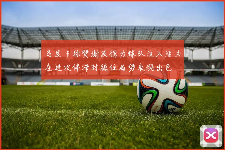 乌度卡称赞谢泼德为球队注入活力在进攻停滞时稳住局势表现出色