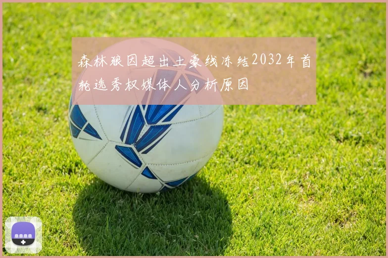 森林狼因超出土豪线冻结2032年首轮选秀权媒体人分析原因