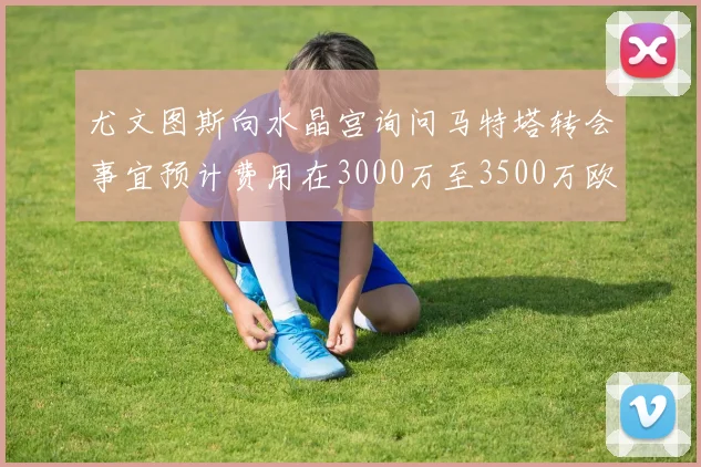 尤文图斯向水晶宫询问马特塔转会事宜预计费用在3000万至3500万欧元之间